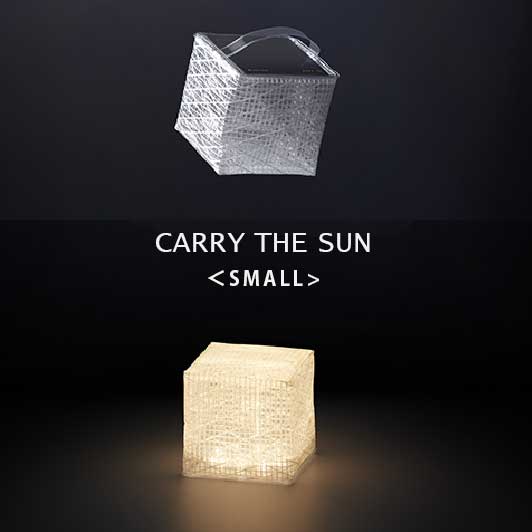 CARRY THE SUN <SMALL>