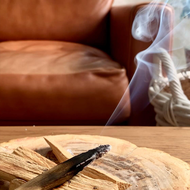 FORETMENT フォートメント パロサントウッドチップ PALO SANTO FORETMENT フォートメント パロサントウッドチップ PALO SANTO