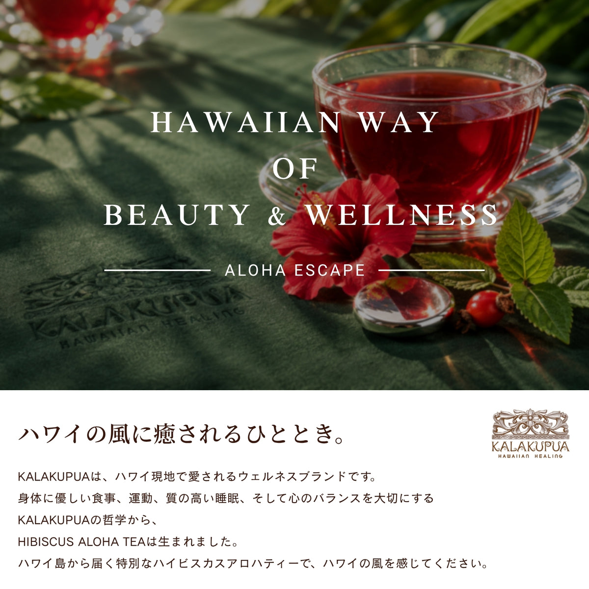 HIBISCUS ALOHA TEA 1パック【お試し】プレミアム オリジナルブレンド ハーブティー made  in Hawaii