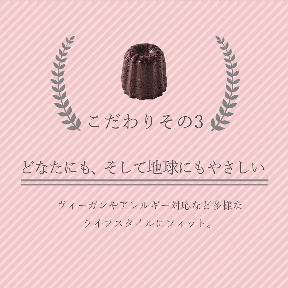 PEACE CAFE HAWAII ピースカフェハワイ  Peaceful Canele（ピースフル カヌレ）6個(3種類×2個)セット 乳製品不使用 グルテンフリー プラントベース＆ヴィーガン 【2月18日から随時発送】