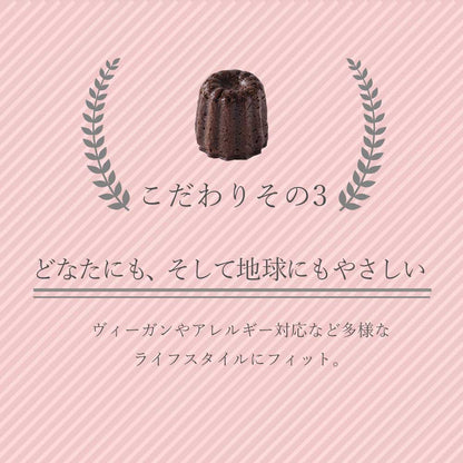 PEACE CAFE HAWAII ピースカフェハワイ  Peaceful Canele（ピースフル カヌレ）10個セット 乳製品不使用 グルテンフリー プラントベース＆ヴィーガン